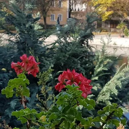 Гостевой дом Topart Тапольца